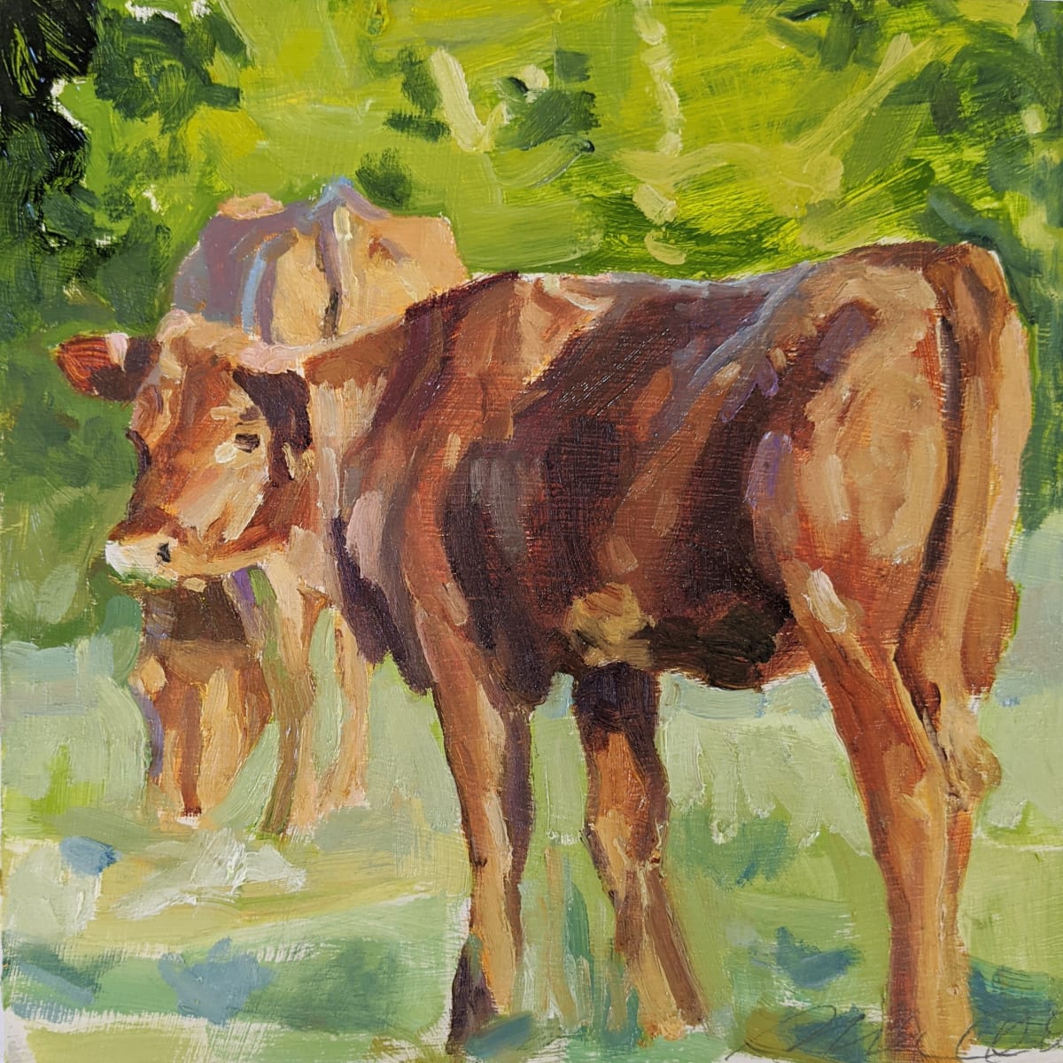 Red Poll Cattle by Rachel Catlett 