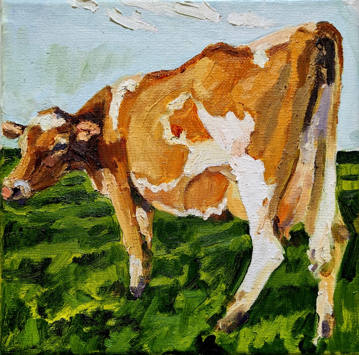 Guernsey Cattle by Rachel Catlett 