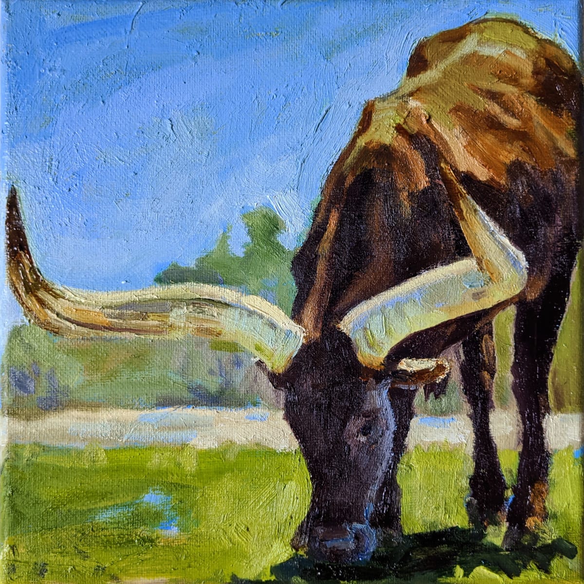 Ankole Watusi by Rachel Catlett 