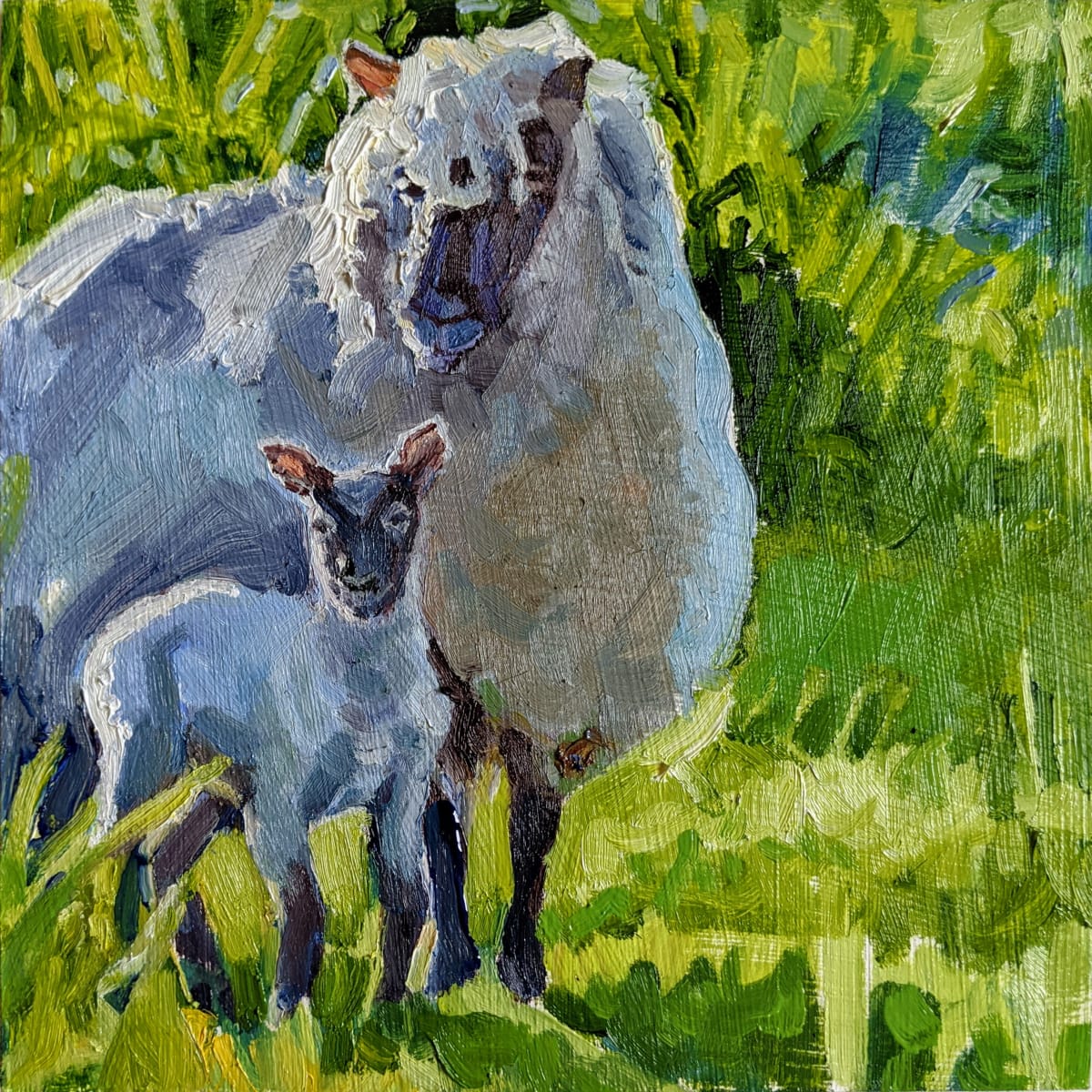 Clun Forest Sheep by Rachel Catlett 