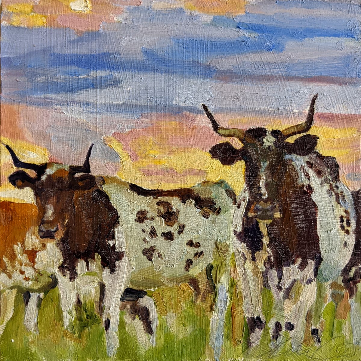 Criollo Cattle by Rachel Catlett 