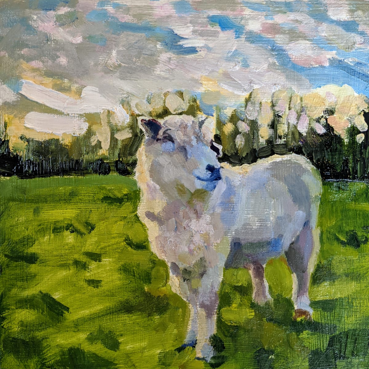 Cotswold Ram by Rachel Catlett 