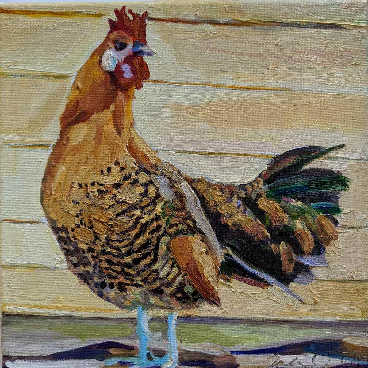 Campine Chicken by Rachel Catlett 