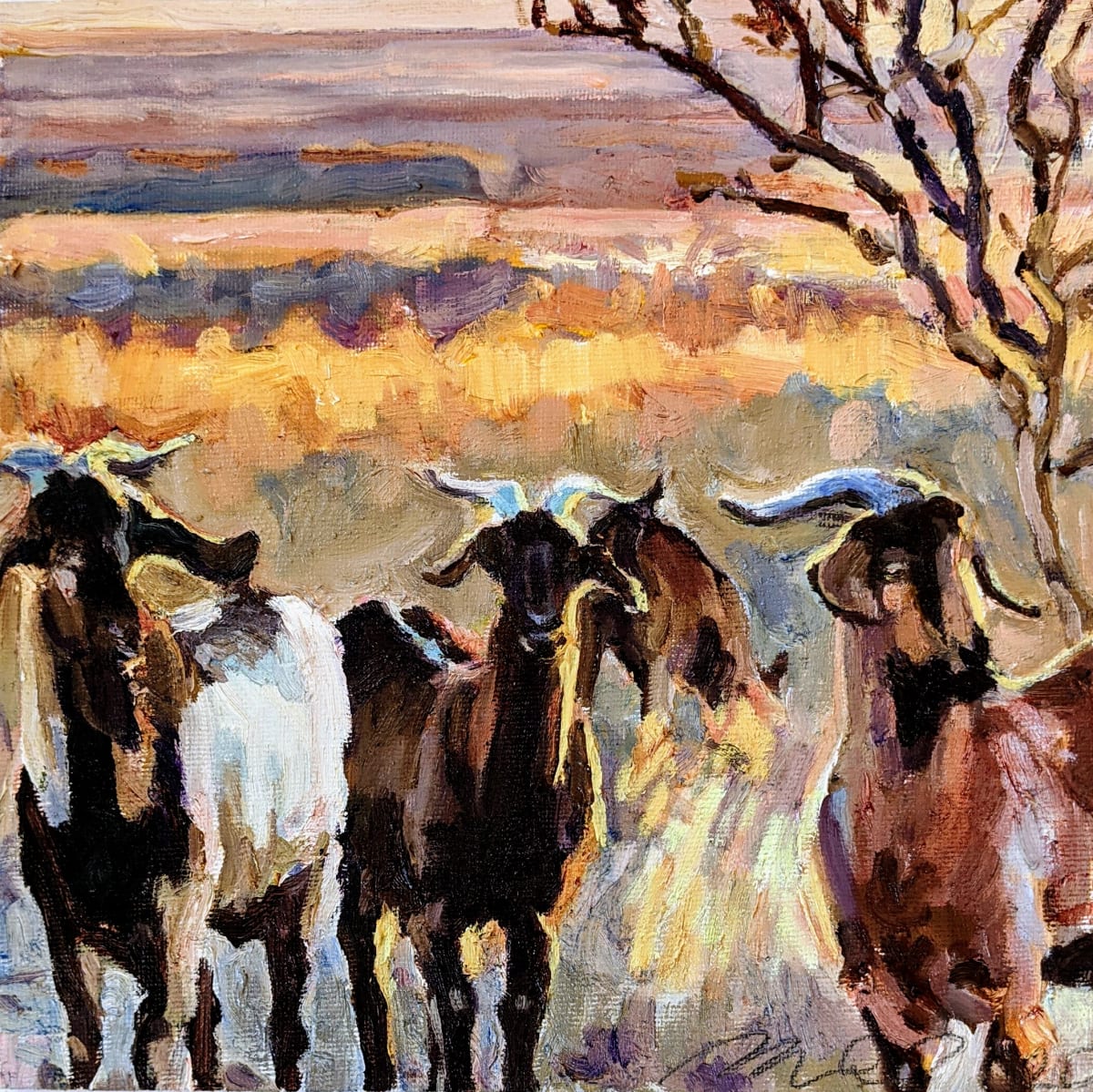 Spanish Goats by Rachel Catlett 