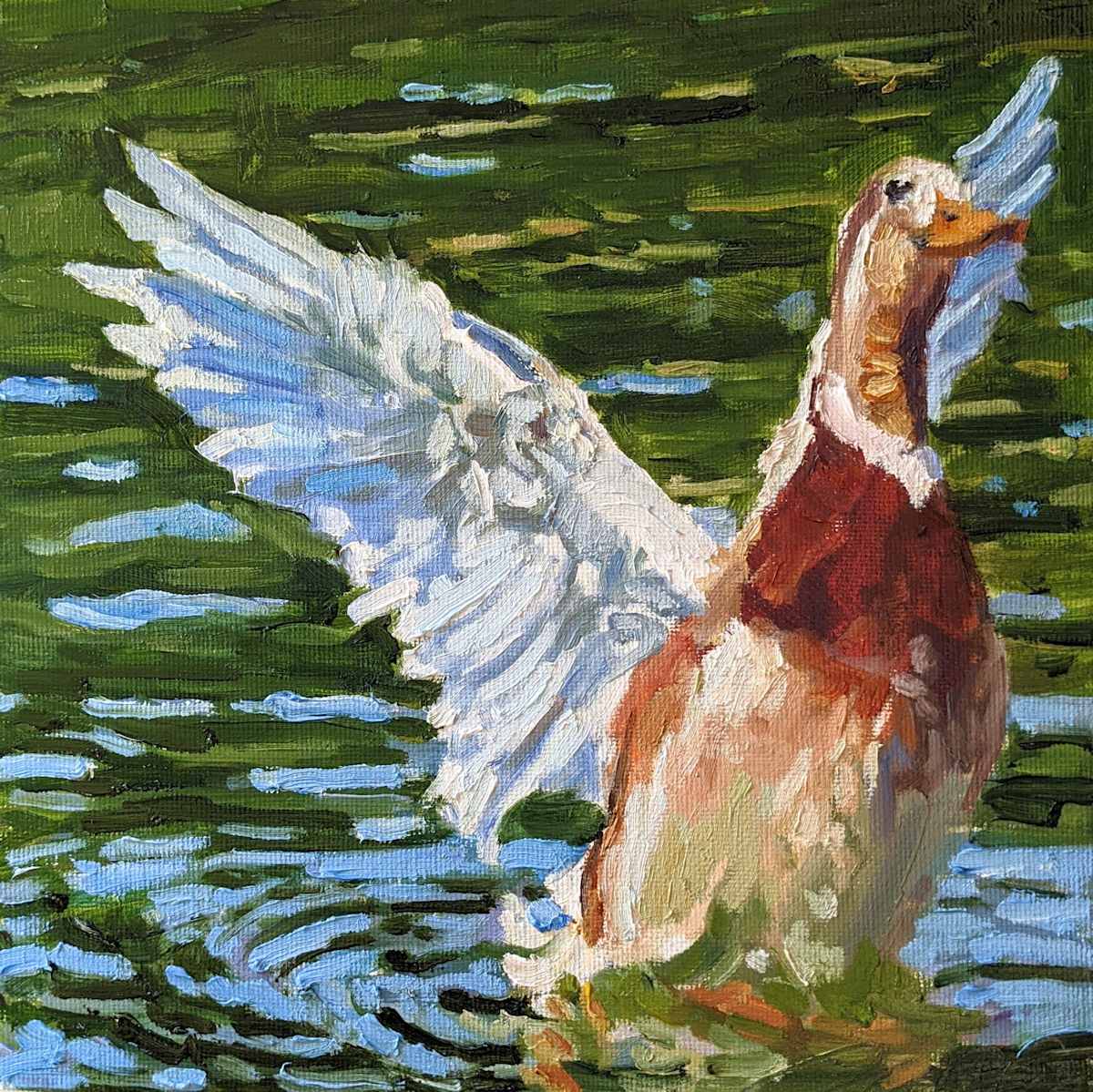 Saxony Duck by Rachel Catlett 