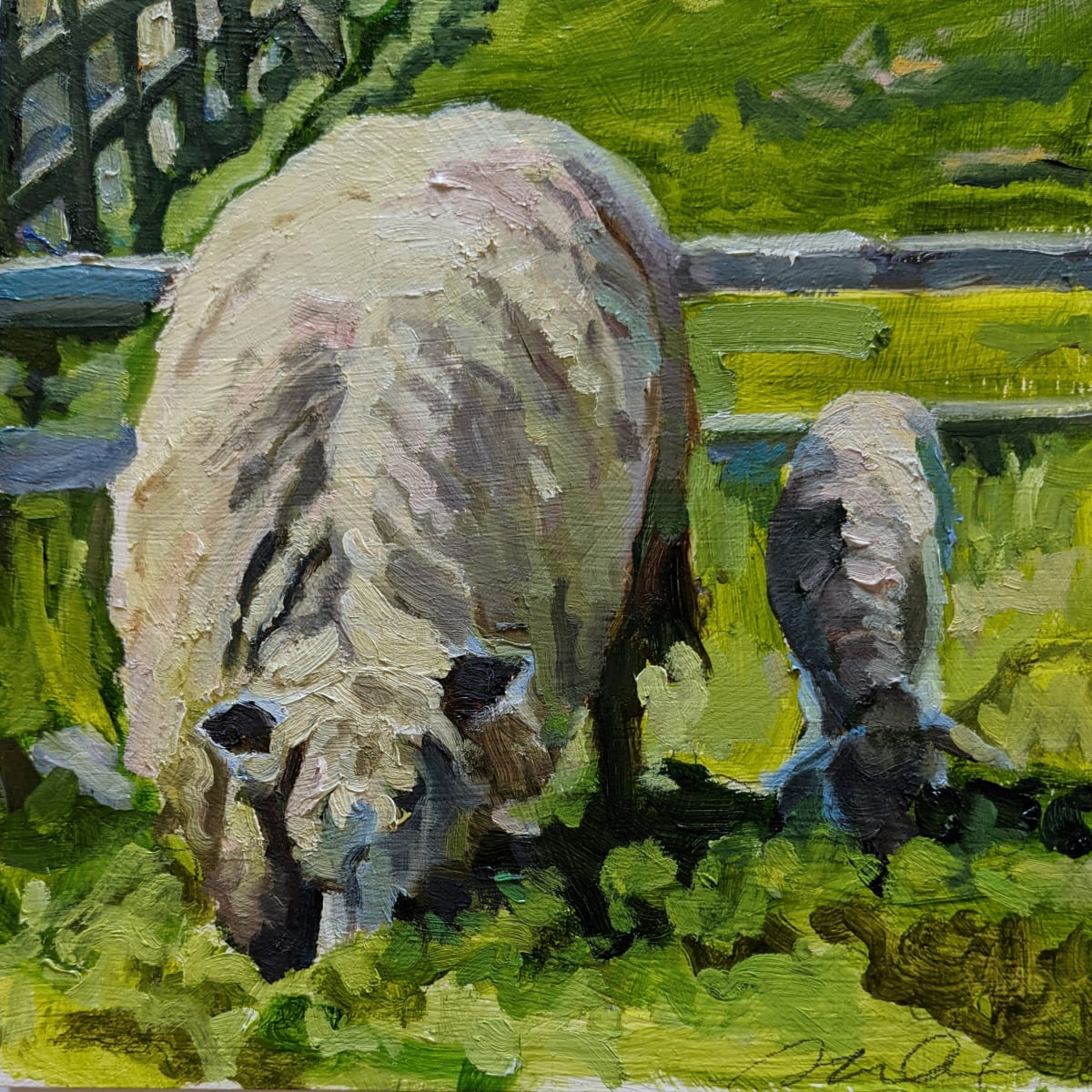 Leicestershire Longwool. Sheep by Rachel Catlett 