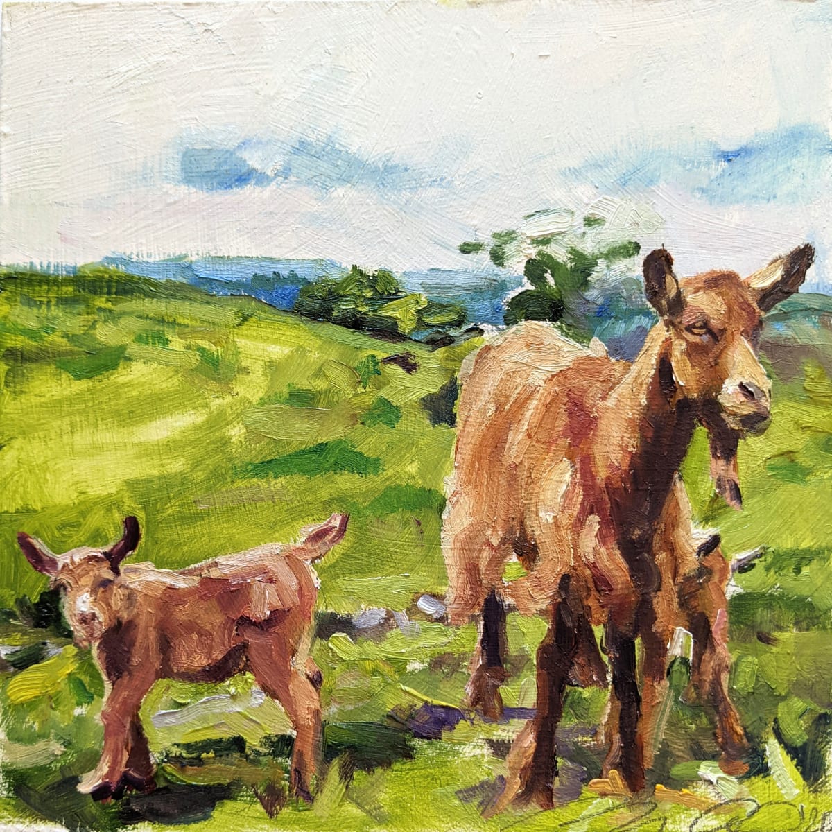 Golden Guernsey Goats by Rachel Catlett 