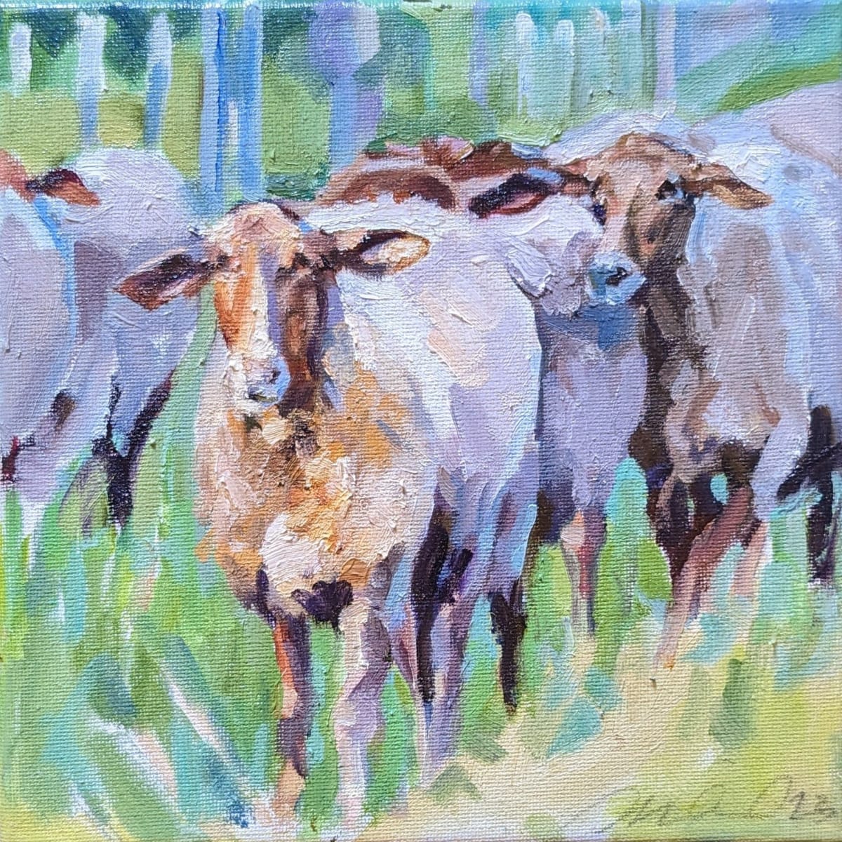 Tunis Sheep by Rachel Catlett 