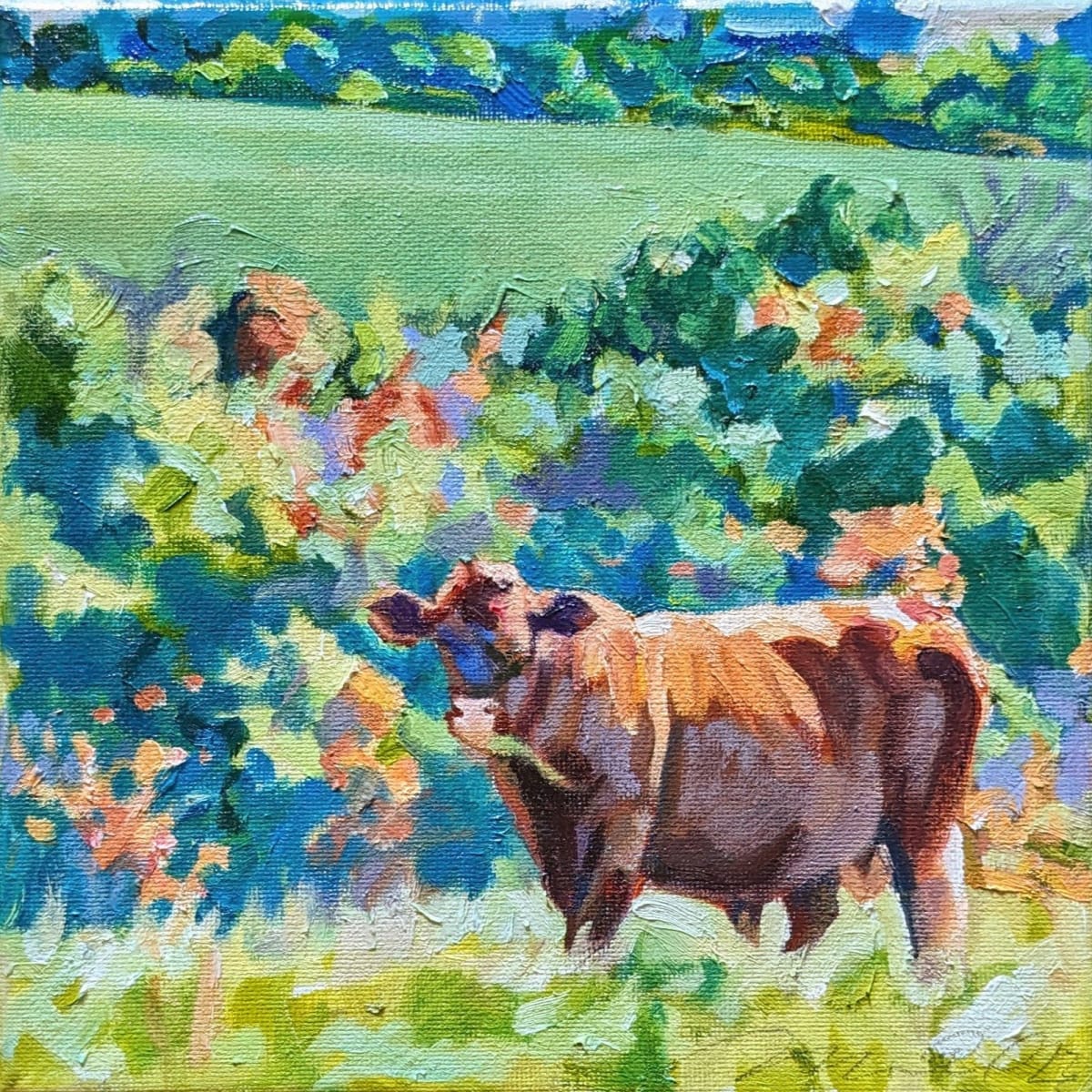 Red Devon Bull by Rachel Catlett 