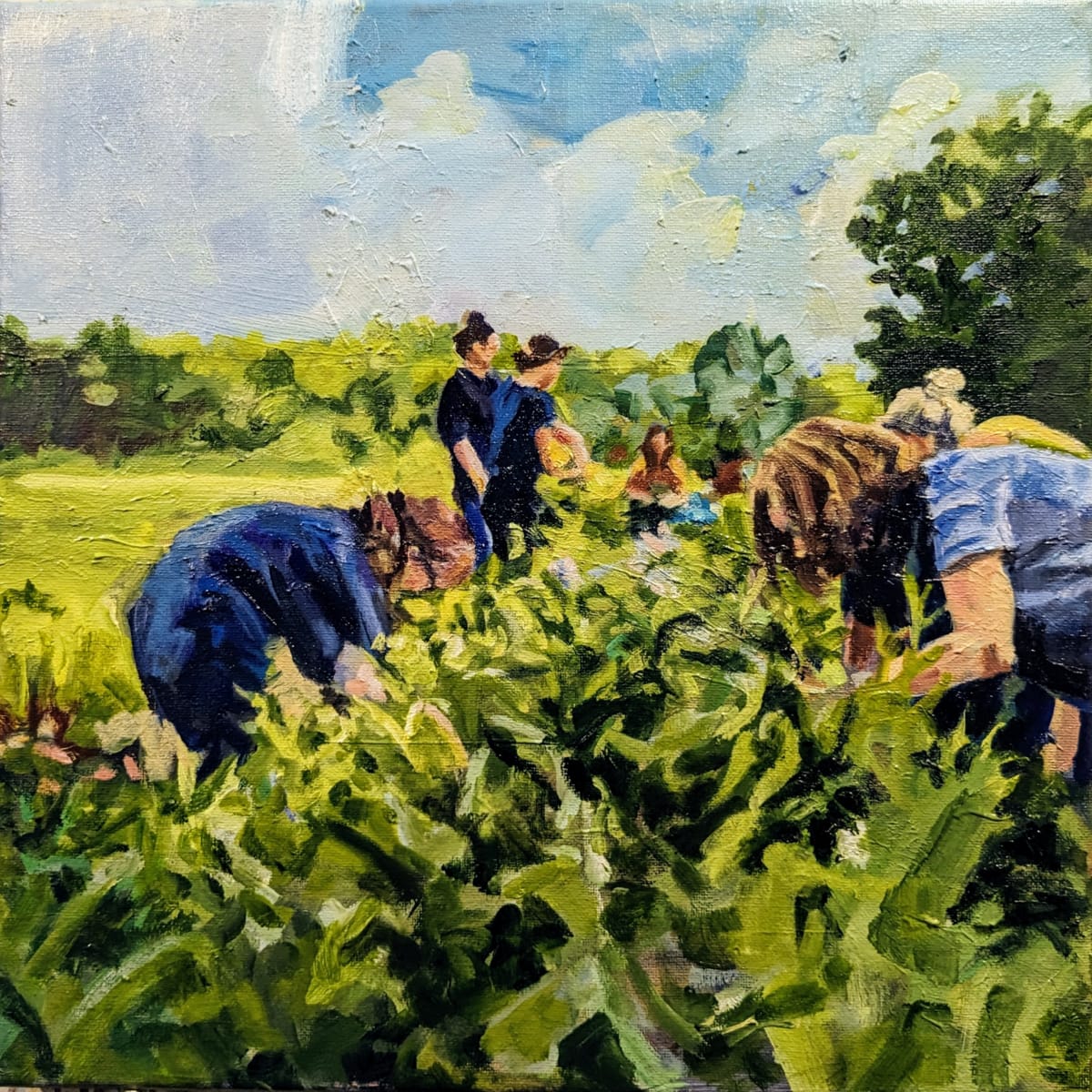 Indigo Harvest at Wild Hope Farms, SC by Rachel Catlett 