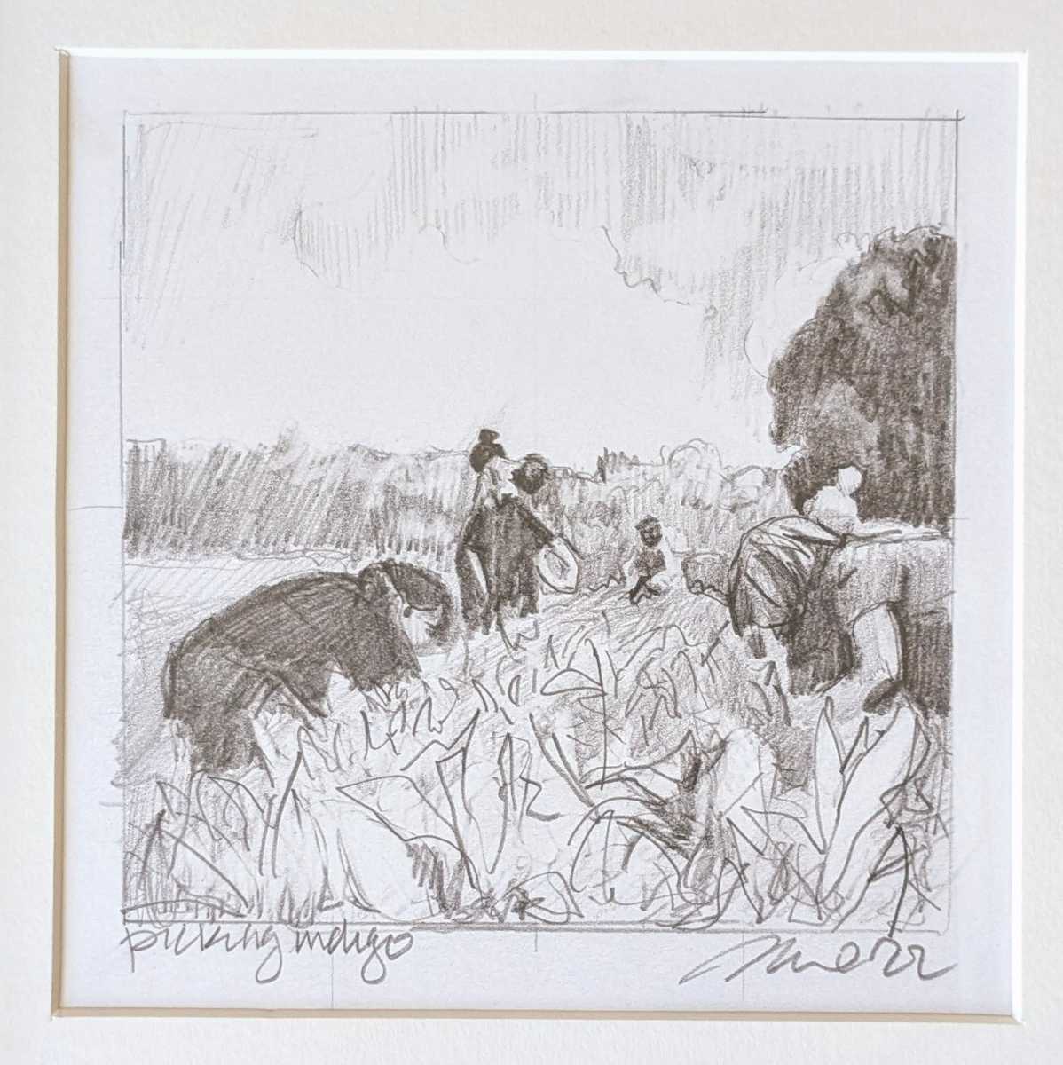 Picking Indigo by Rachel Catlett 