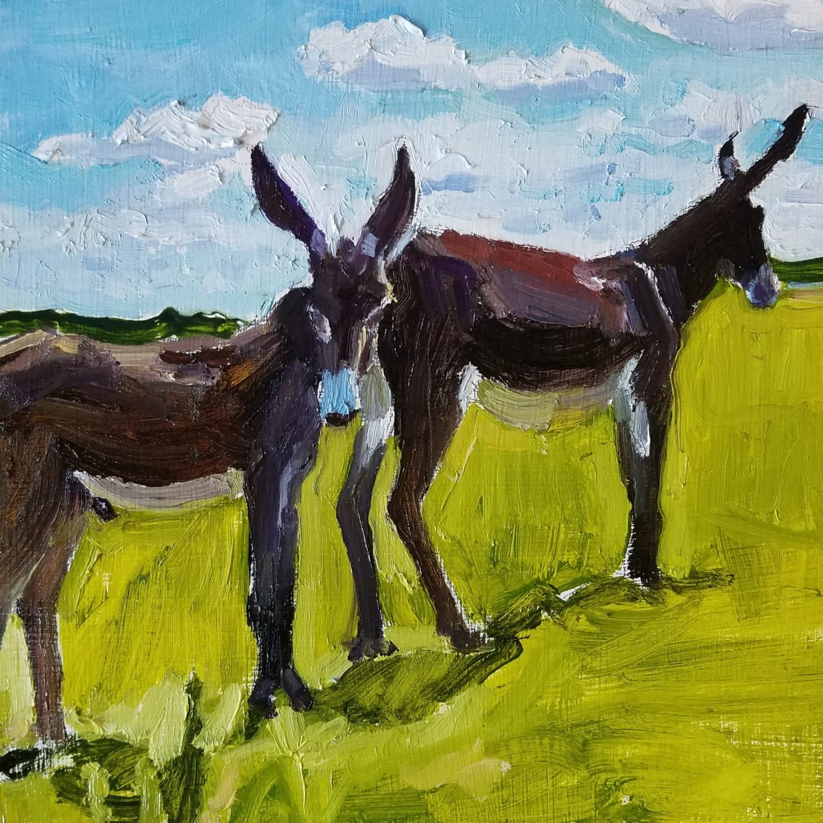 American Jackstock Donkeys II 
