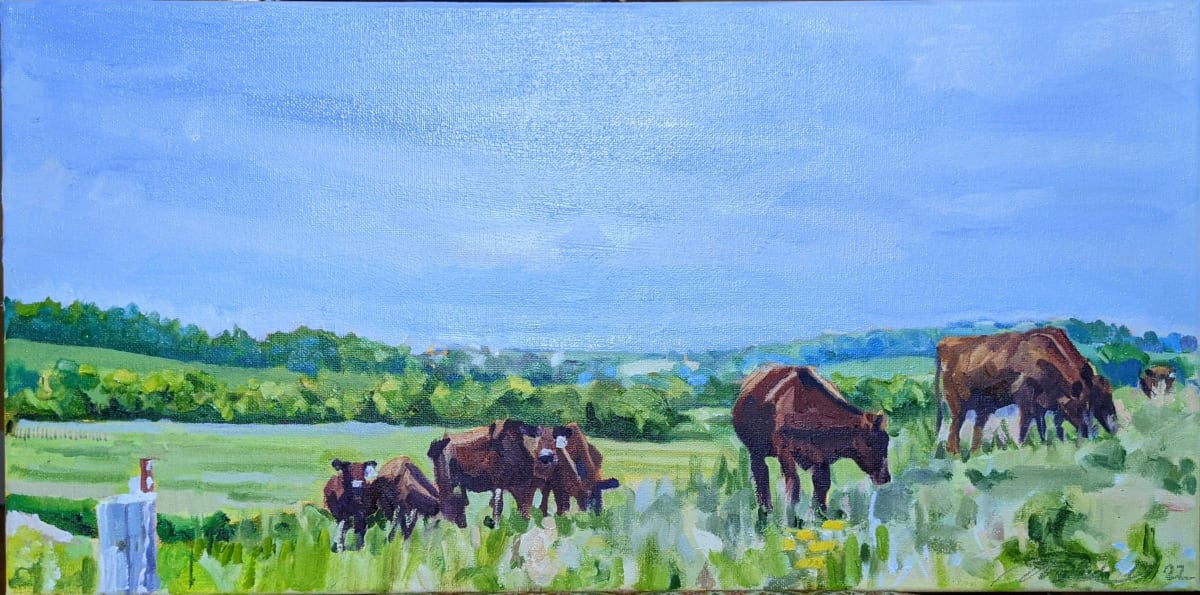 Becky's Herd, Grazin Beef , WI by Rachel Catlett 