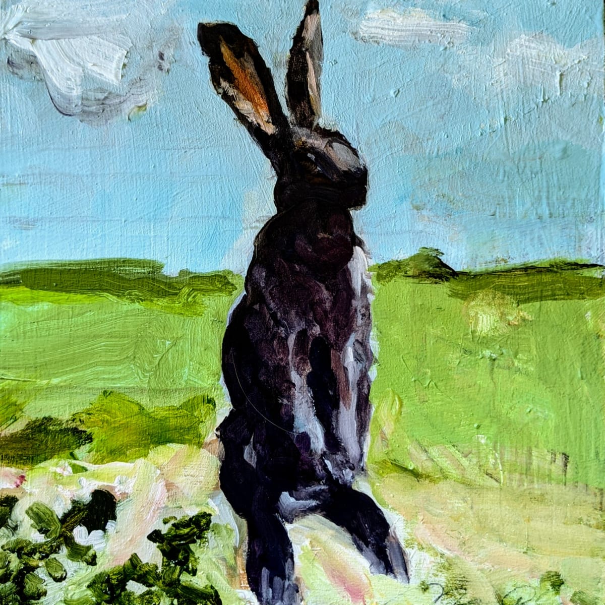 Beveren Rabbit by Rachel Catlett 