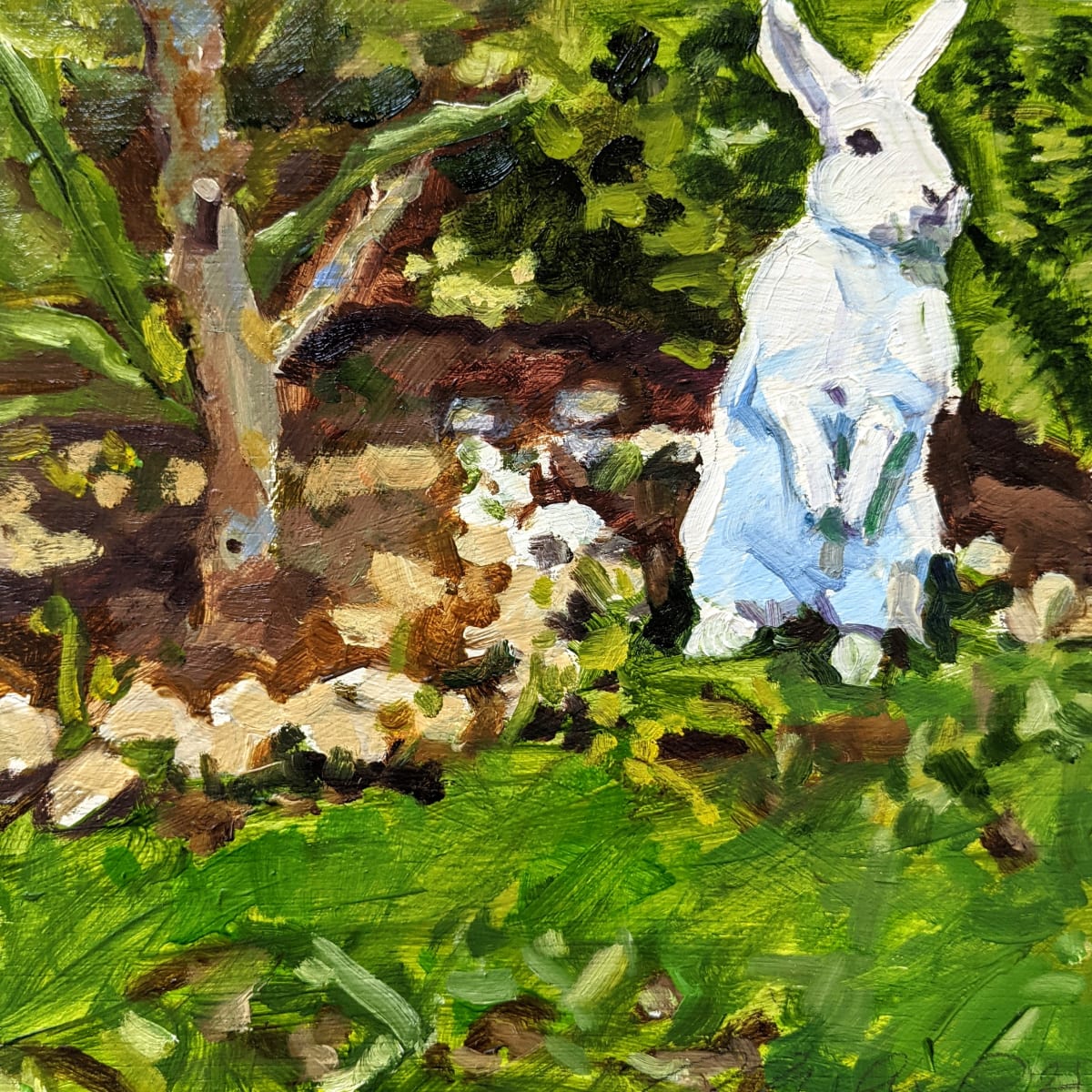 Blanc de Hotot by Rachel Catlett 