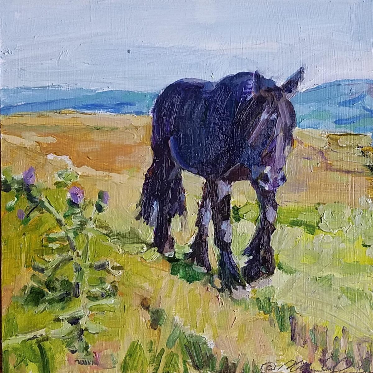 Dales Pony, Image 1.