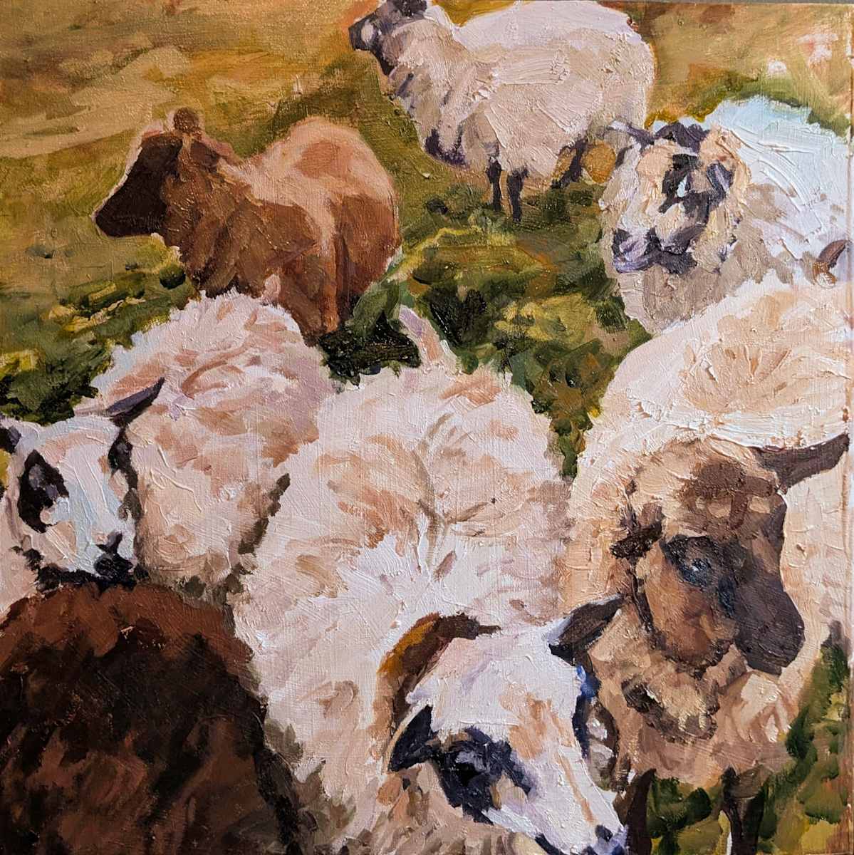 Ewe Lambs by Rachel Catlett 
