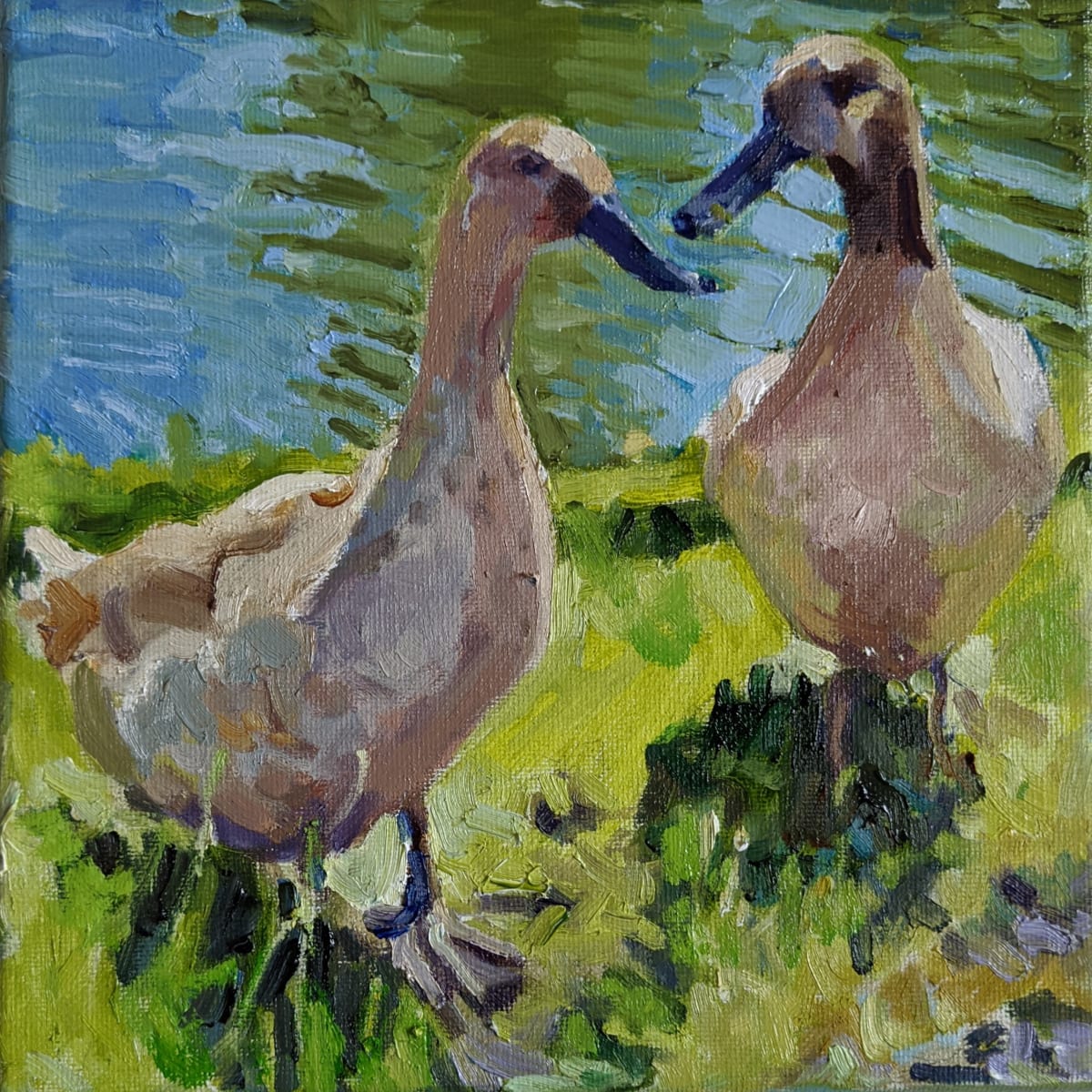 Khaki Campbell Ducks by Rachel Catlett 