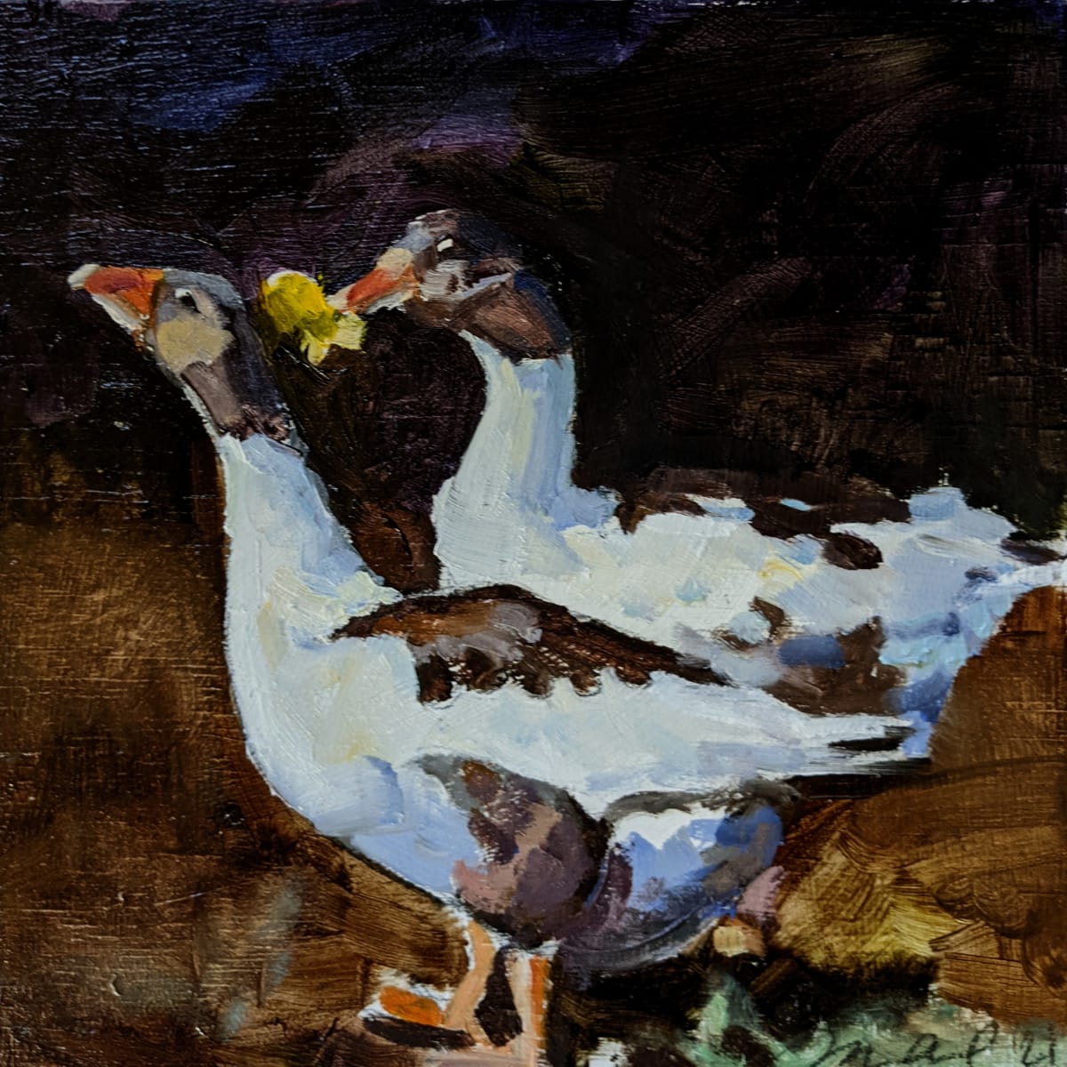 Pomeranian Geese by Rachel Catlett 