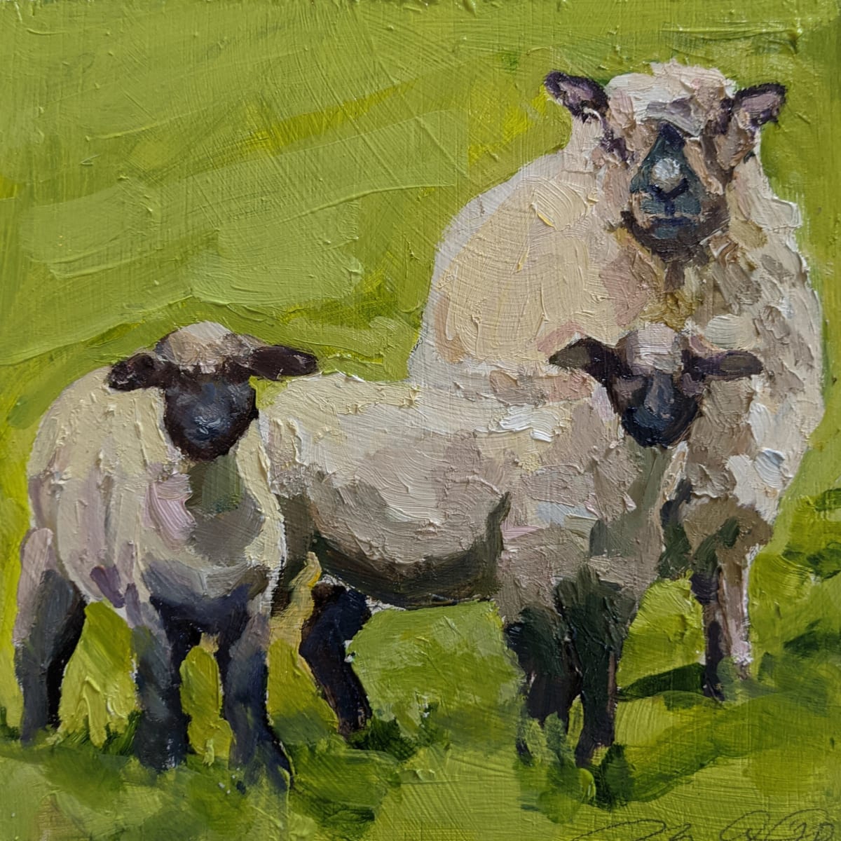 Oxford Sheep by Rachel Catlett 
