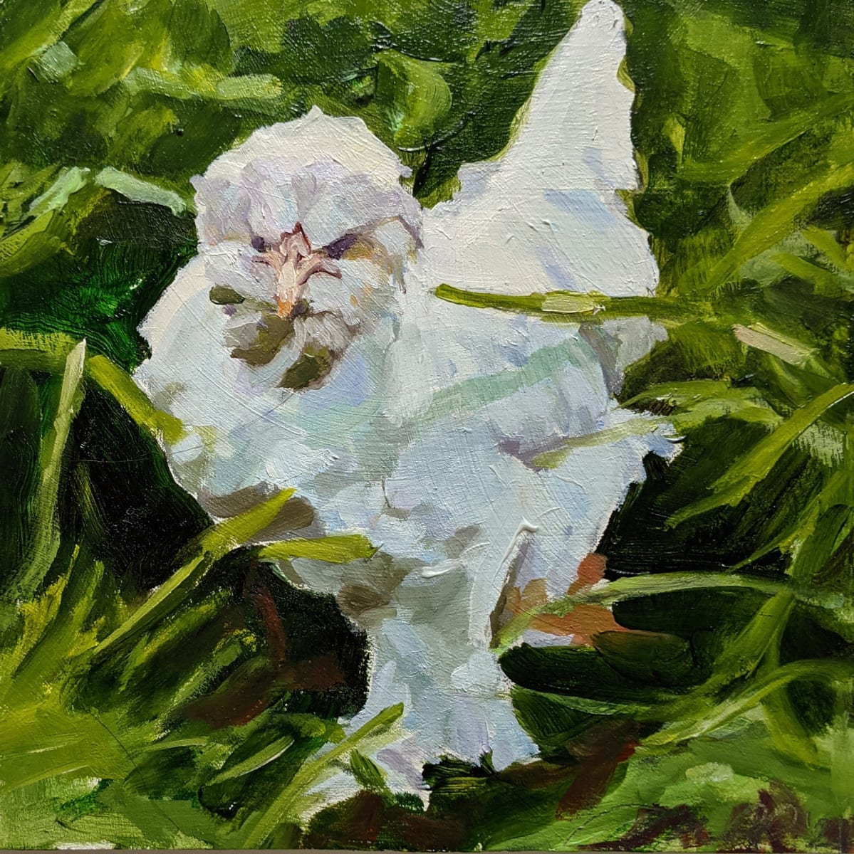 Sultan Chicken by Rachel Catlett 