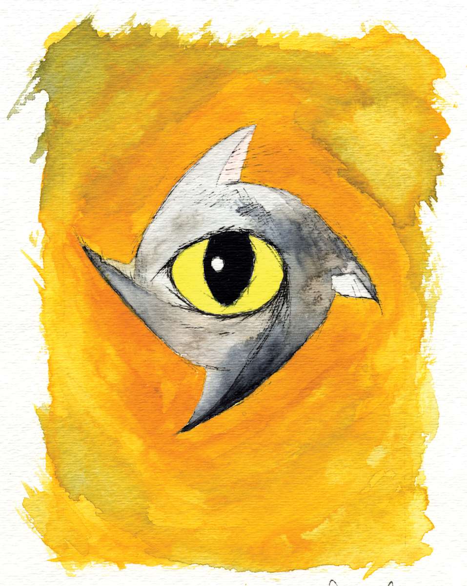 Composite 4.11 by Jonathan Canady 