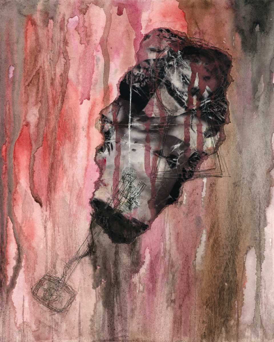 Black Dahlia by Jonathan Canady 