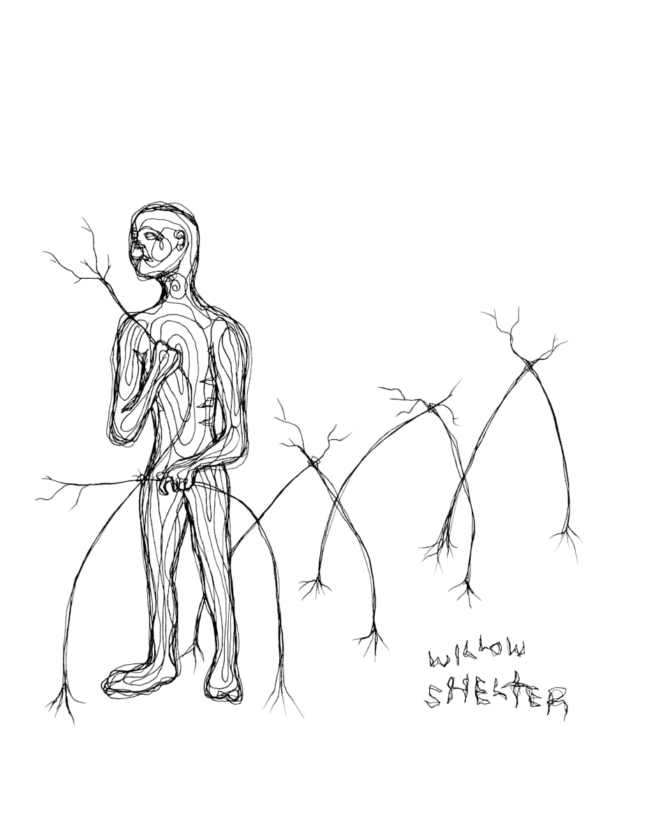 Willow Shelter by Jonathan Canady 