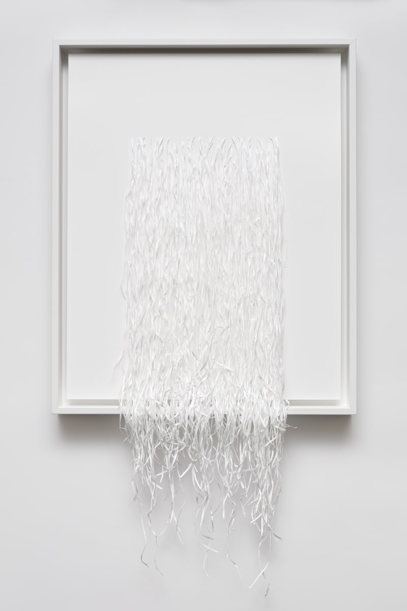 Perfect Flosser by Kalliopi Monoyios  Image: 365 pieces of PTFE dental floss