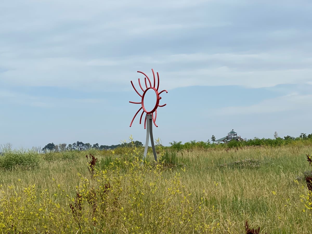 "O"Mage by Sharon Boynton 