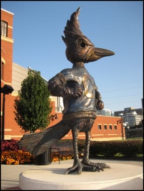 Creighton Blue Jay by Unknown 