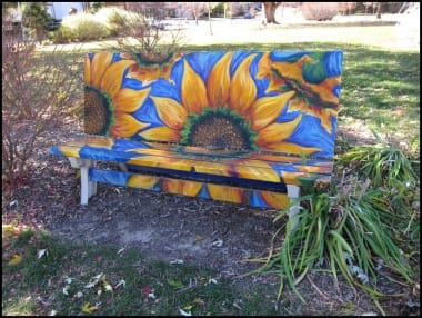 Sunflower Bench by Dar Vandevoort 