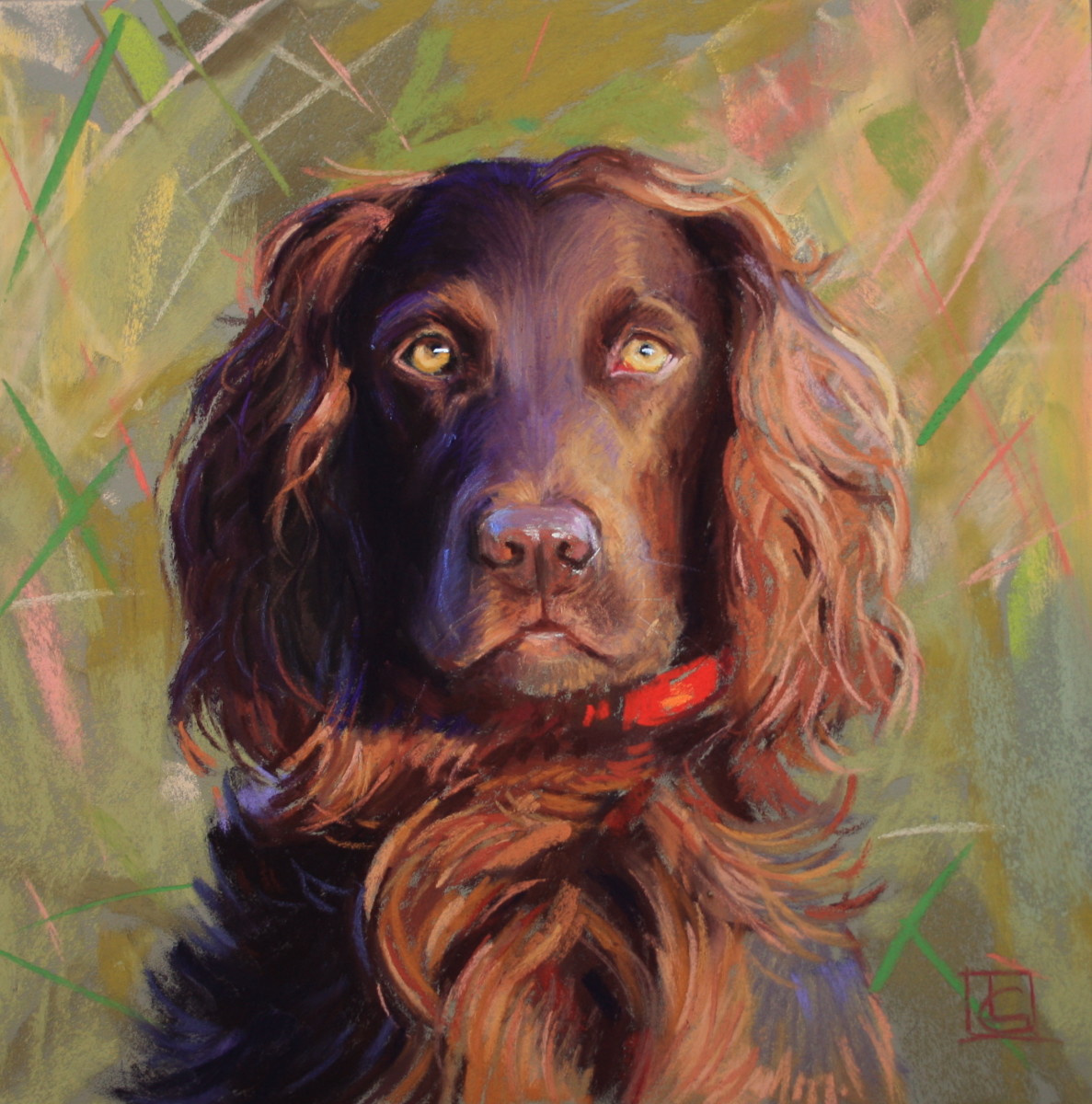 Boykin Spaniel by Lisa Gleim 