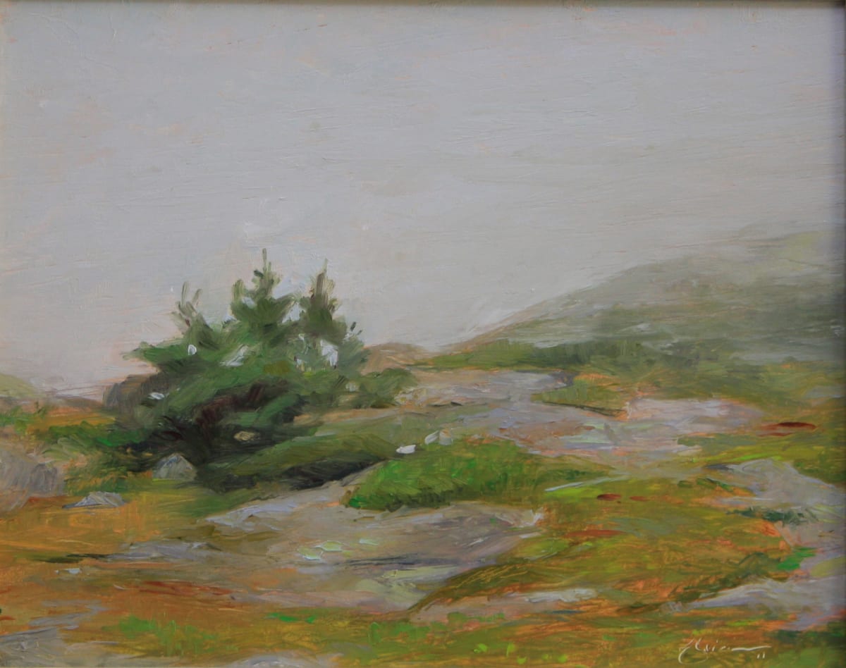 Evergreen in Fog by Lisa Gleim, Image 1.