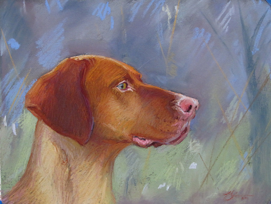 At Attention (Vizsla) by Lisa Gleim 