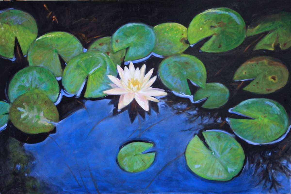 Water Lily Pads by Lisa Gleim, Image 1.