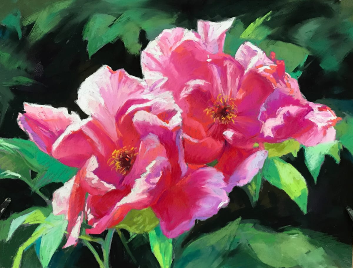 Pink Splendor by Lisa Gleim, Image 2.