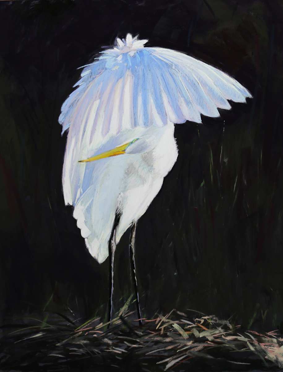 Preening Egret by Lisa Gleim, Image 1.