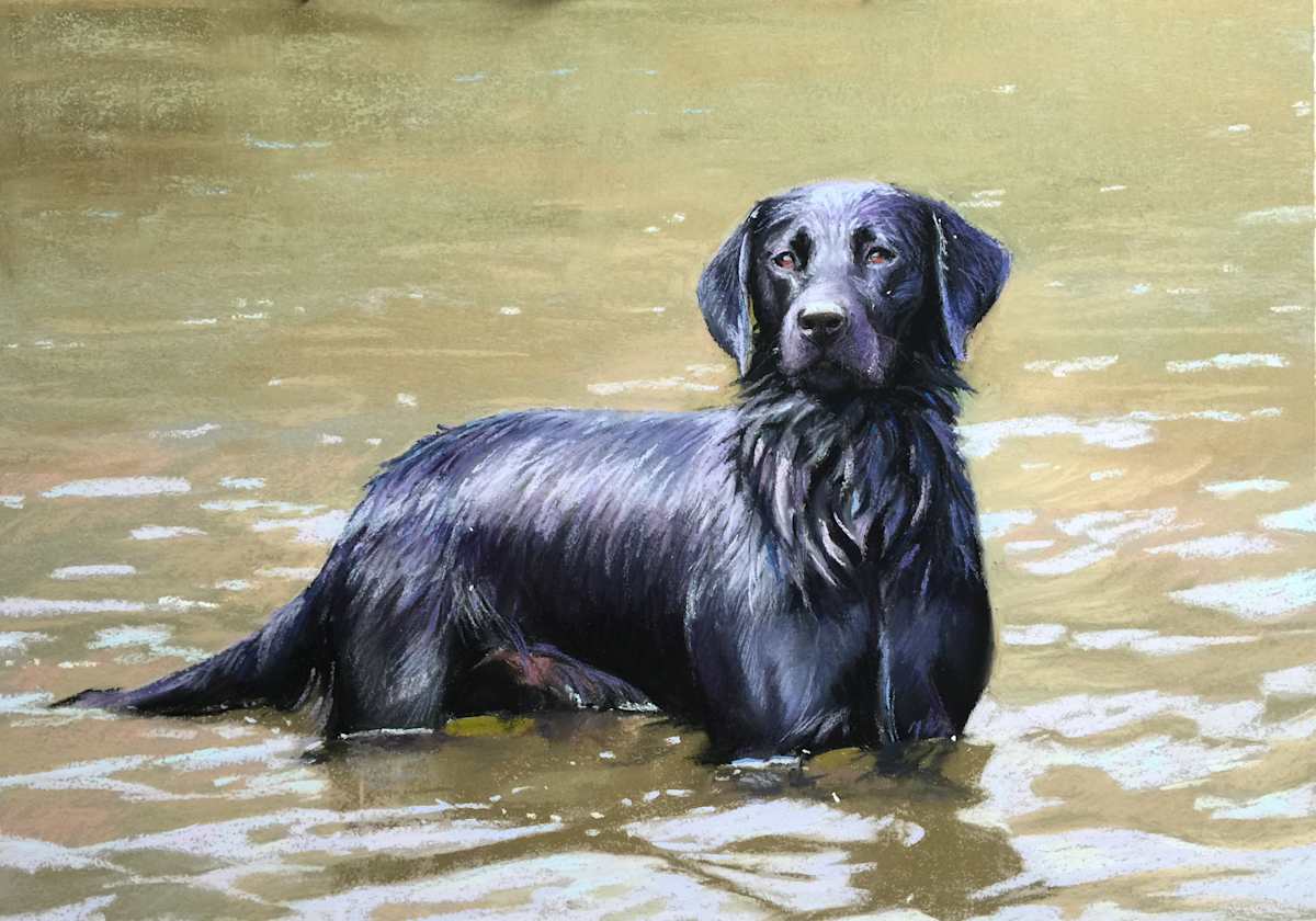 Regal by Lisa Gleim, Image 1.