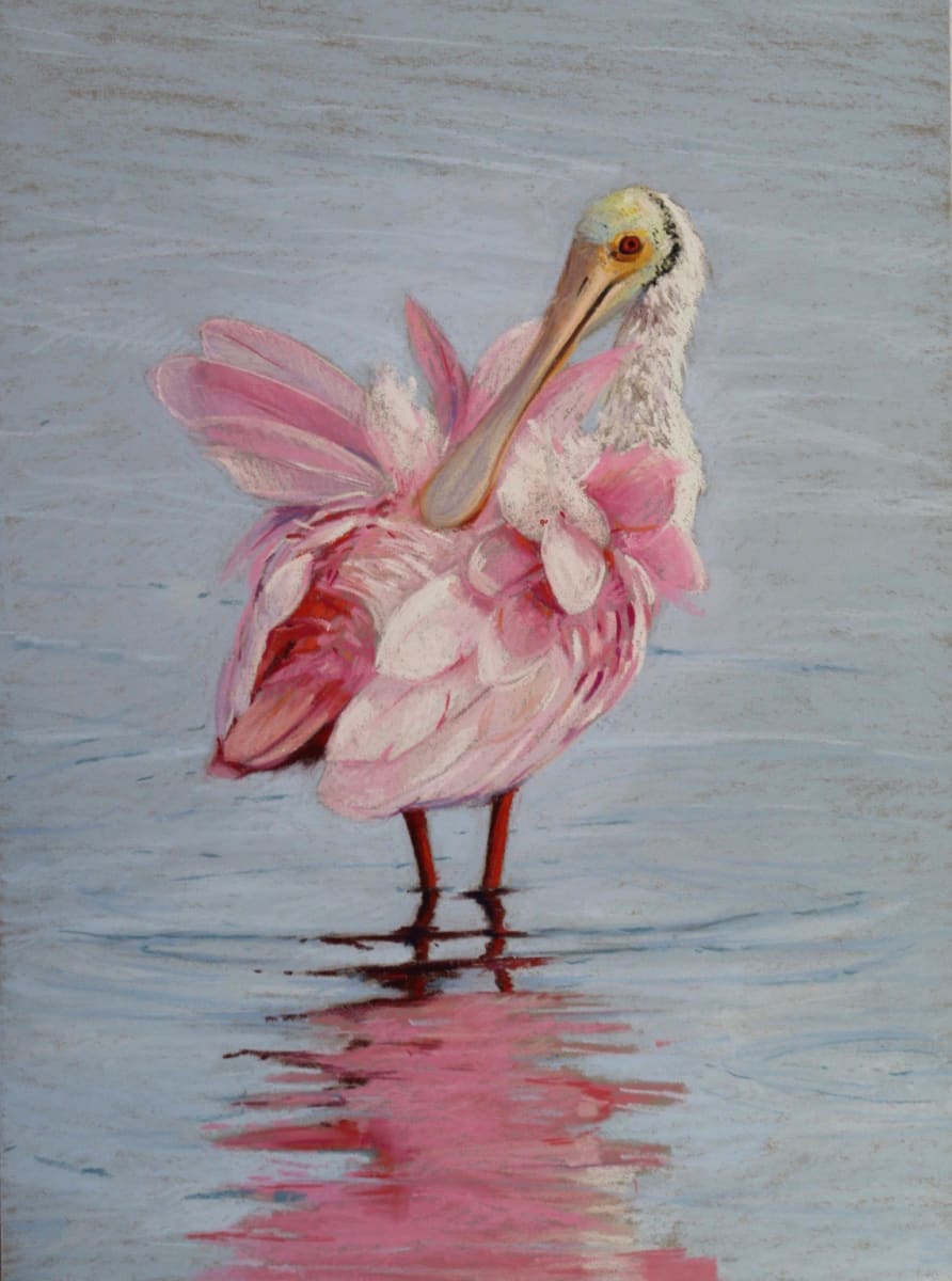 Spoonbill by Lisa Gleim, Image 1.
