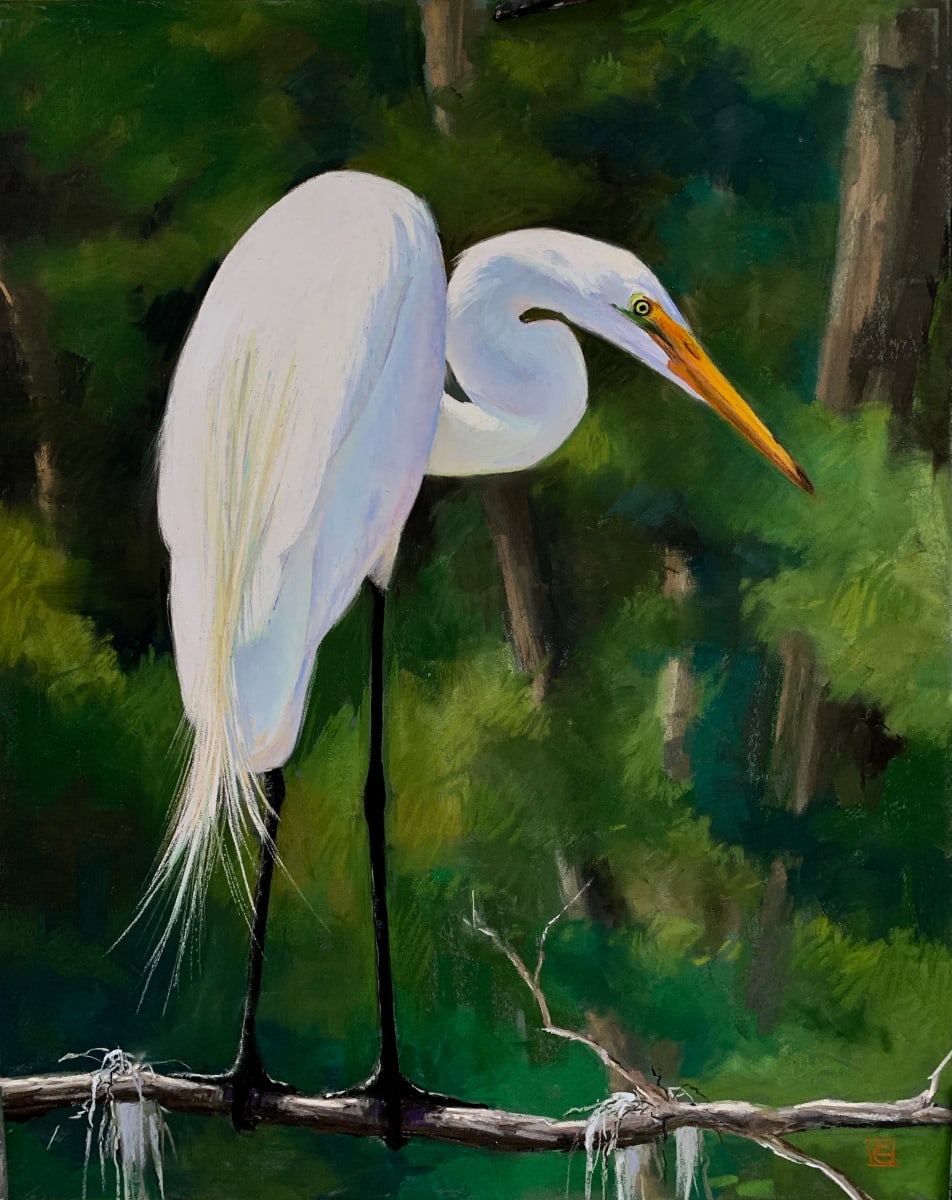 Focus by Lisa Gleim, Image 2.