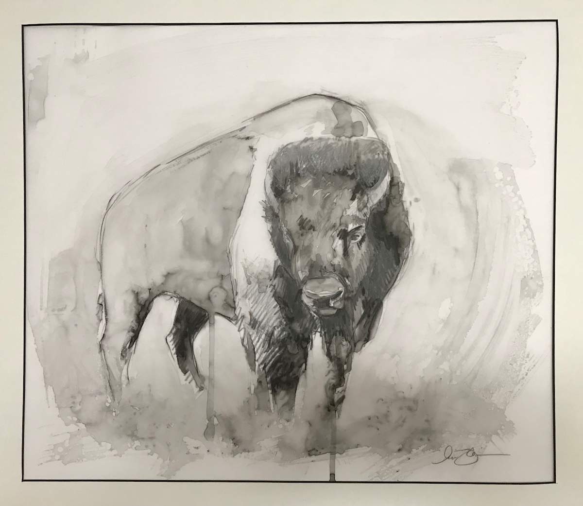 American Bison by Lisa Gleim, Image 1.