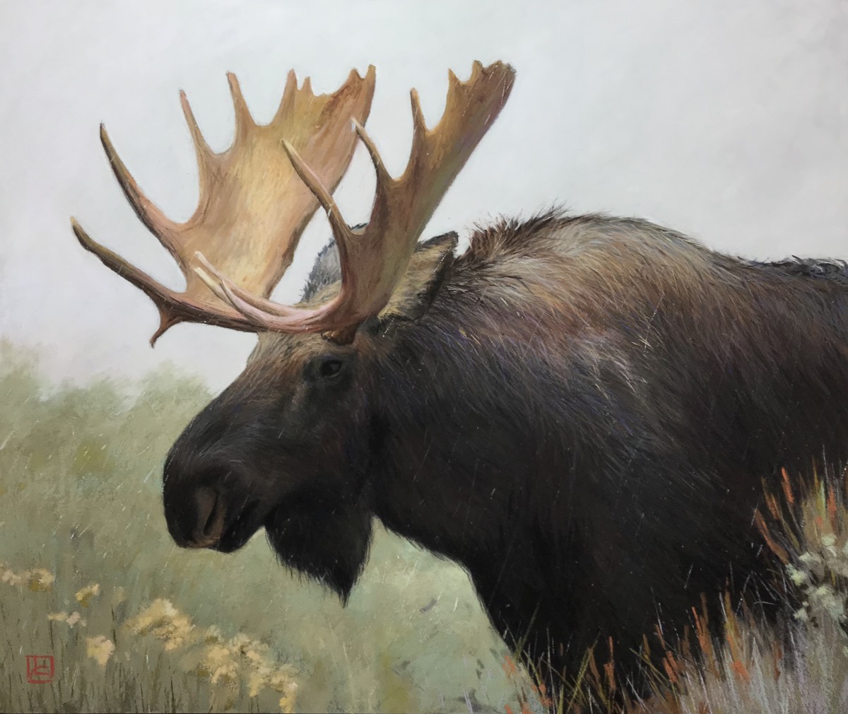 Bull Moose in Rain by Lisa Gleim 