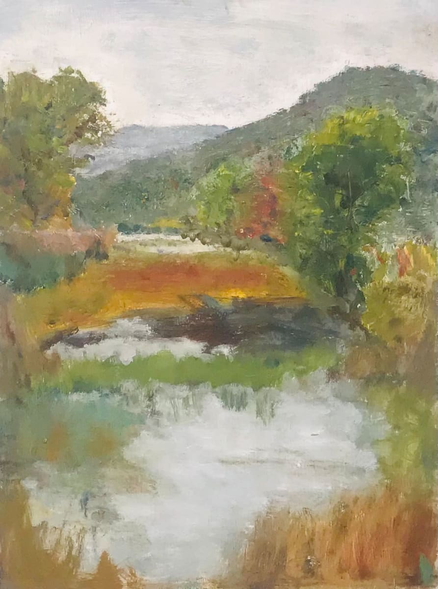 Vernon Street Resevoir 