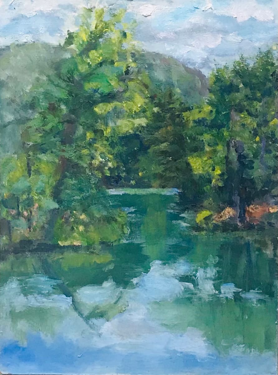 Nonotuck Pond 