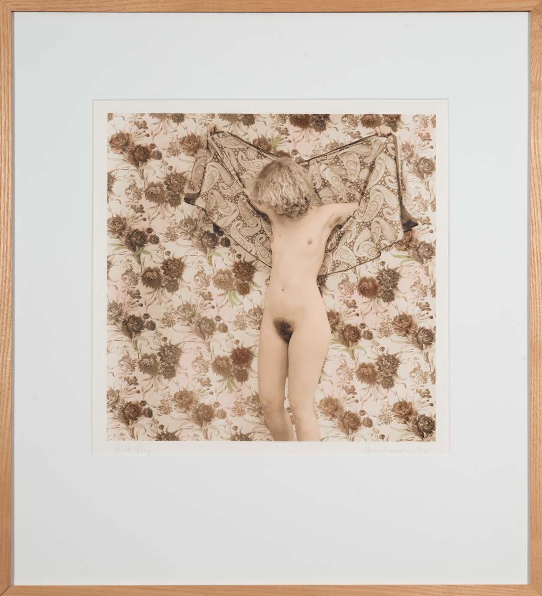 Butterfly by Judith Steinhauser 