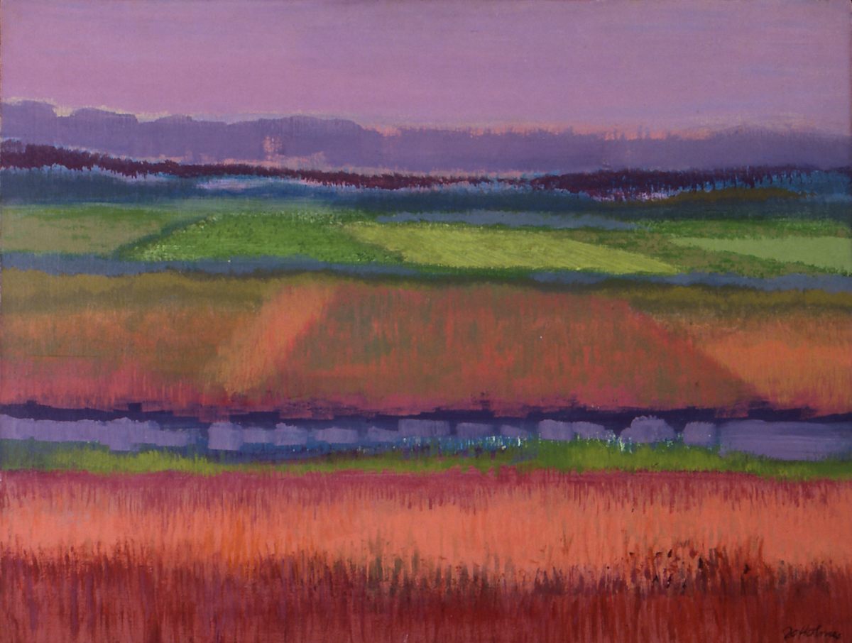 Fields by Jo Holmes 