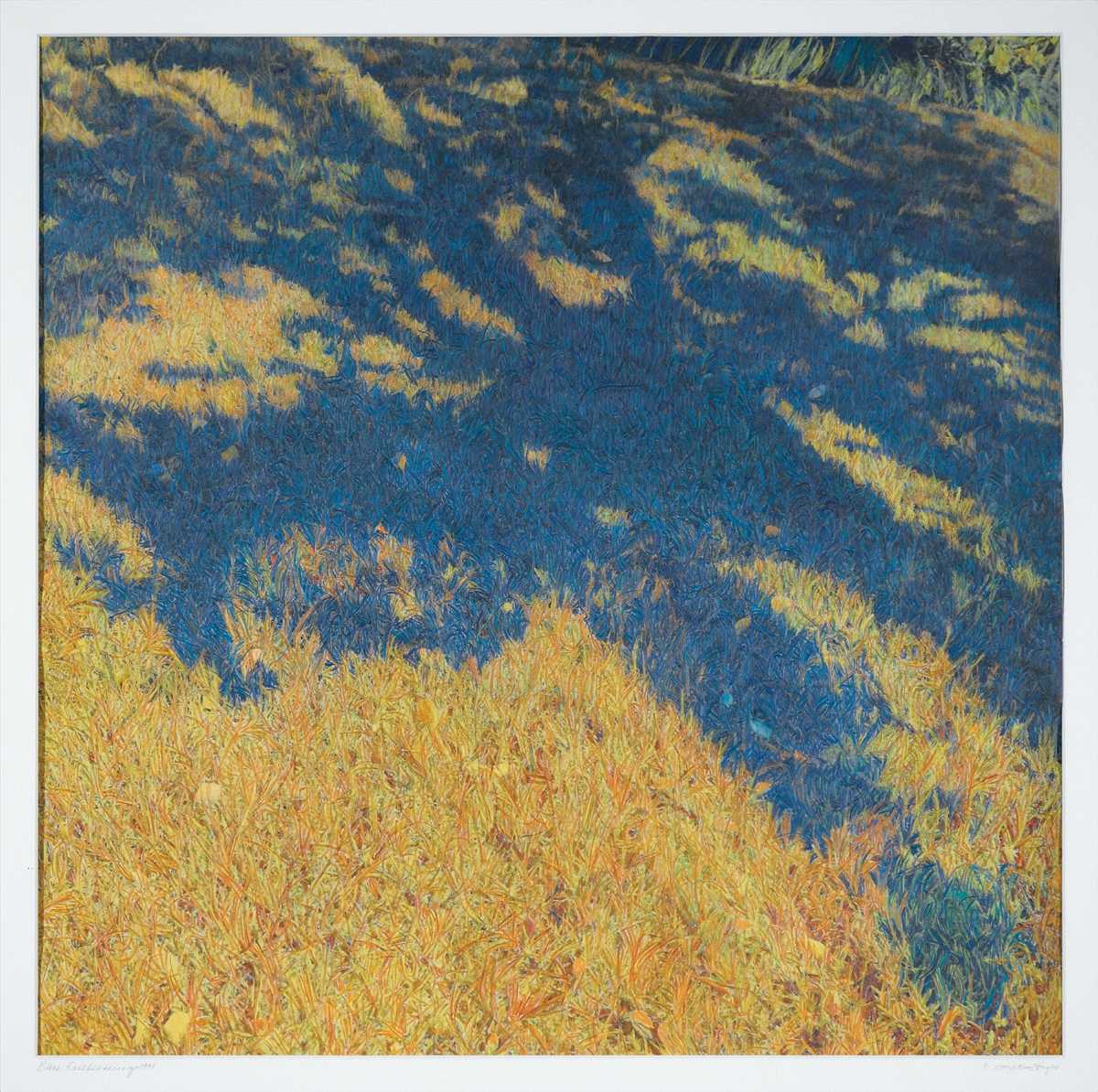 Blue Earth Coverings by Diane Hopkins-Hughs 