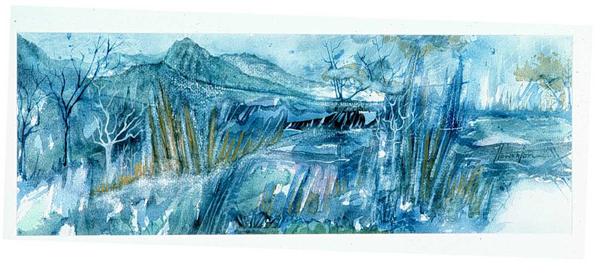Blue Rushes by Glen E Howerton 
