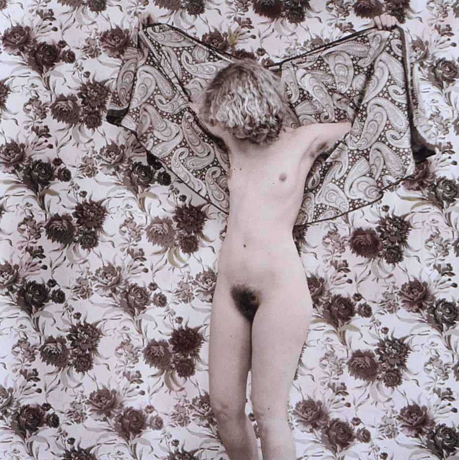 Butterfly by Judith Steinhauser 
